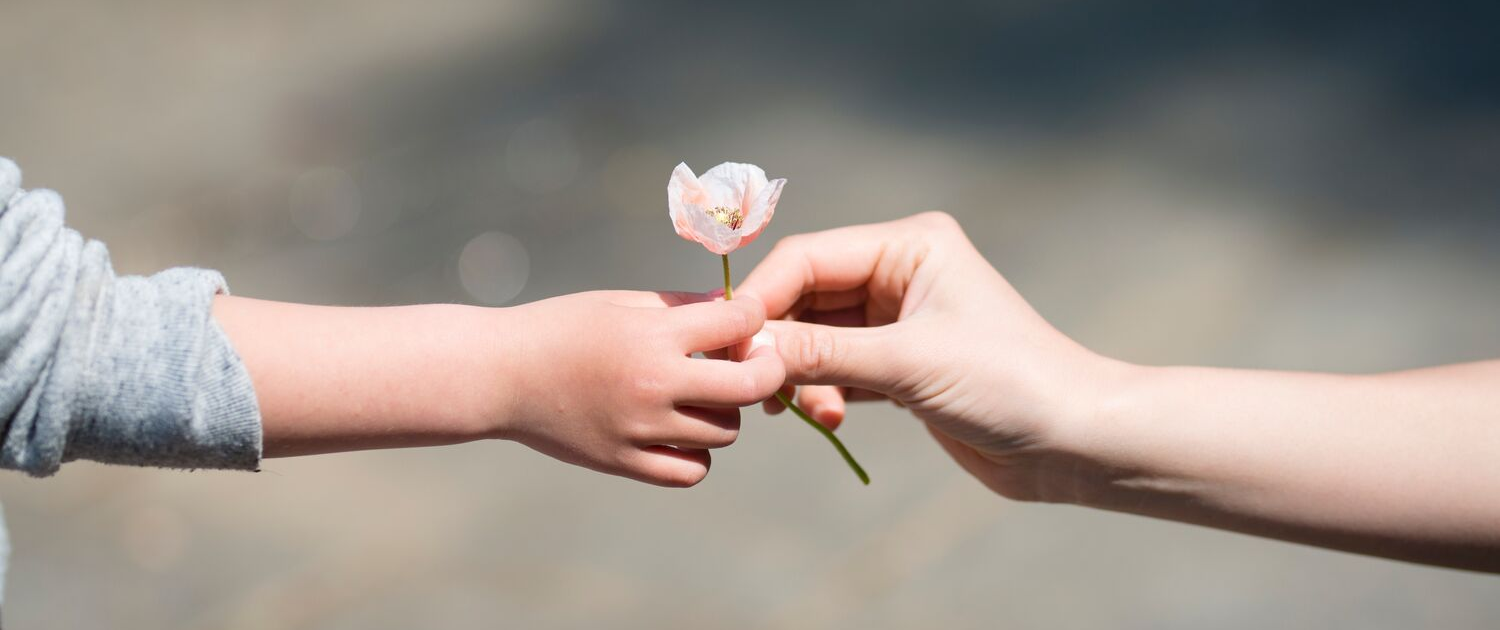 Fleur - mains - don - partage - bénévolat